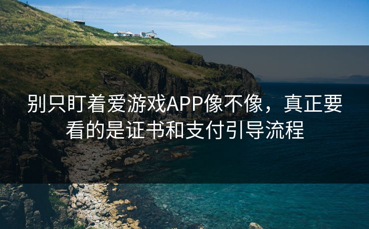 别只盯着爱游戏APP像不像，真正要看的是证书和支付引导流程