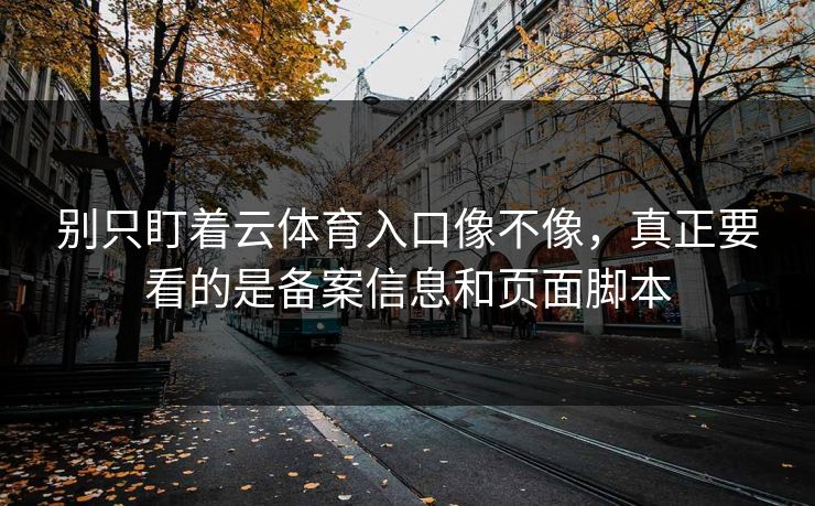 别只盯着云体育入口像不像，真正要看的是备案信息和页面脚本