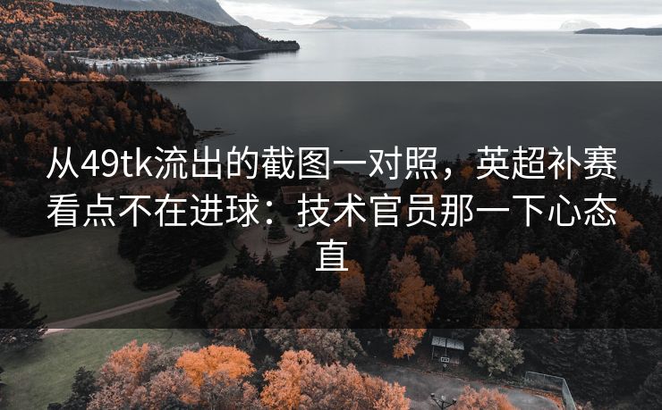 从49tk流出的截图一对照，英超补赛看点不在进球：技术官员那一下心态直