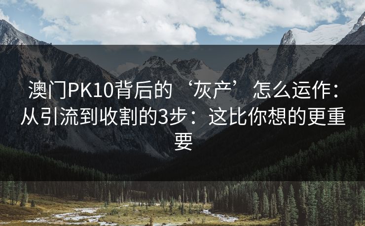 澳门PK10背后的‘灰产’怎么运作：从引流到收割的3步：这比你想的更重要